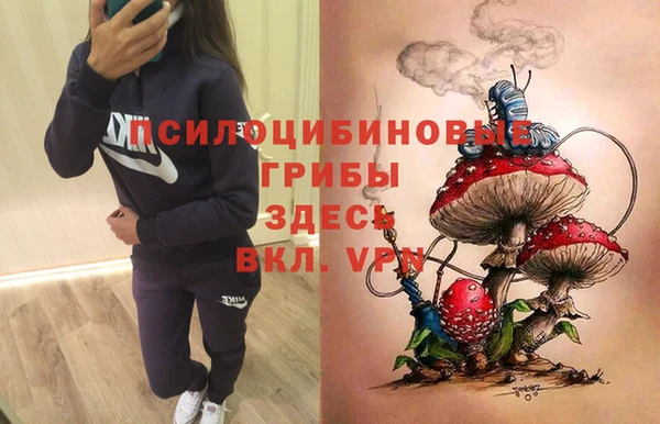 эйфоретик Костерёво