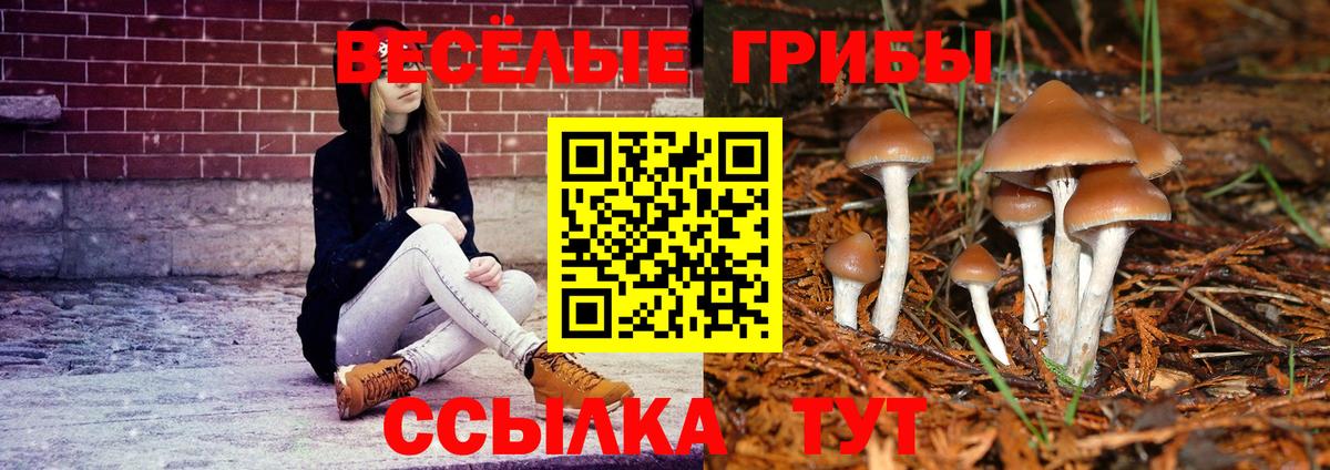Галлюциногенные грибы Psilocybe  Вход с VPN  Березники 